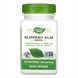 Кора Слизького В'яза Slippery Elm Bark - 100 вег. капсул 2022-10-0608 фото 1