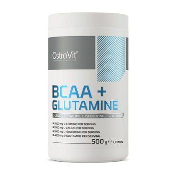 BCAA+Glutamine (500 g, orange) 08484-02 фото