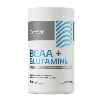 BCAA+Glutamine (500 g, pure) 08483-01 фото