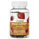 Immunity Support Complex with Black Elderberry Extract - 60 chewable tablets
