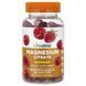 Magnesium Citrate with Sodium 250 mg - 90 chewable tablets