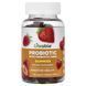 Probiotics with Prebiotic Fiber from Chicory Root 2 billion CFU - 60 chewable tablets