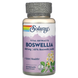 Boswellia Resin Extract 450mg - 60 veg.capsules